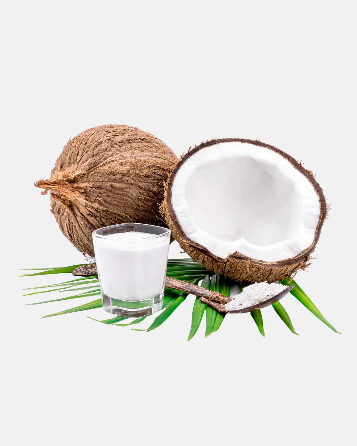 coconut-milk